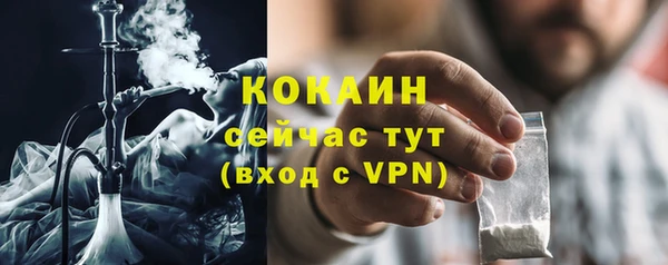 индика Армянск
