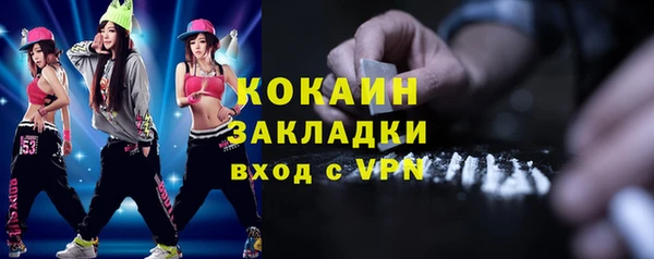 индика Армянск