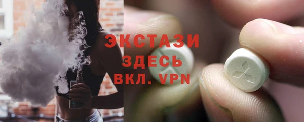 индика Армянск