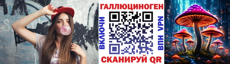 Псилоцибиновые грибы Cubensis  omg как войти  Оленегорск 